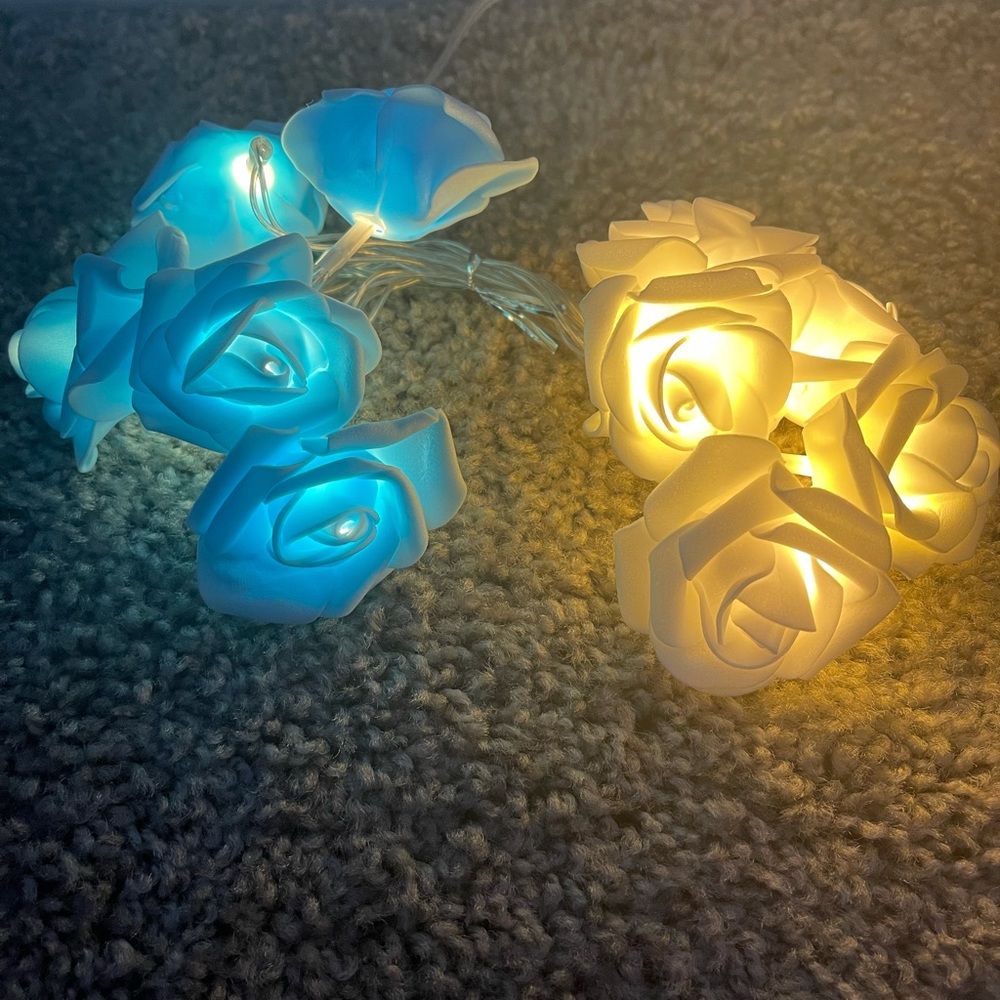 FLOWER LIGHTS